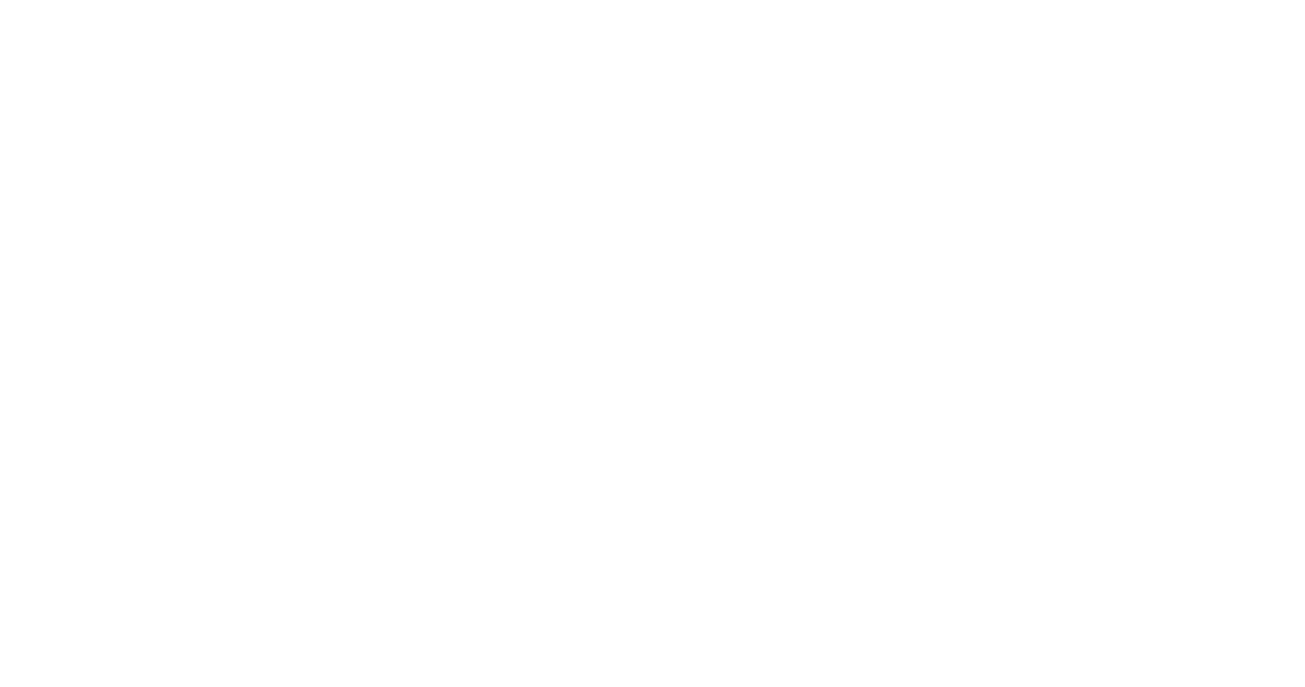 星云体彩打票软件